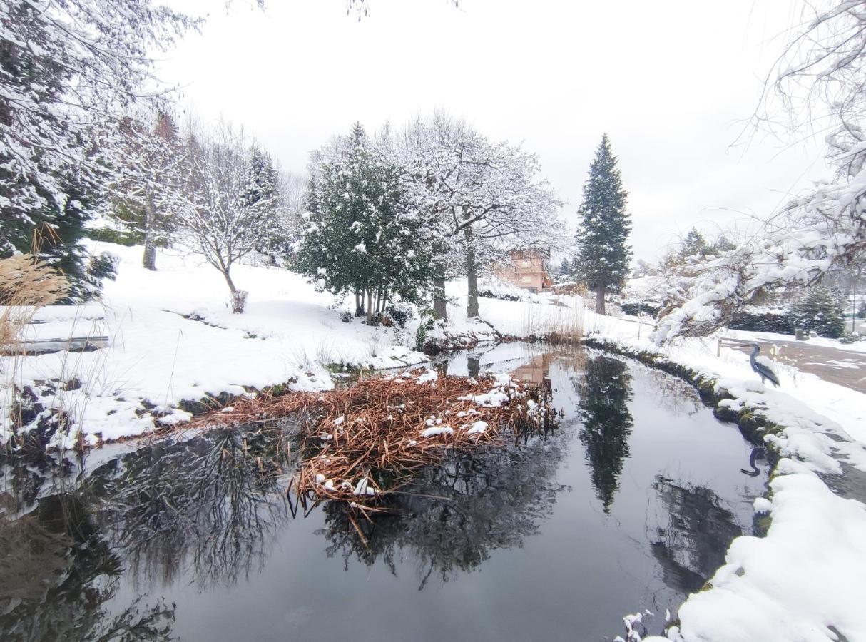 Le Manoir Au Lac Gerardmer Exterior photo